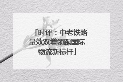 时评：中老铁路量效双增领跑国际物流新标杆